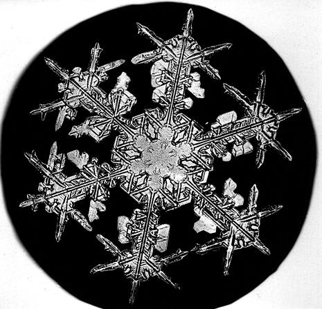 snowflake