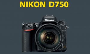 Find the best lenses for Nikon D750
