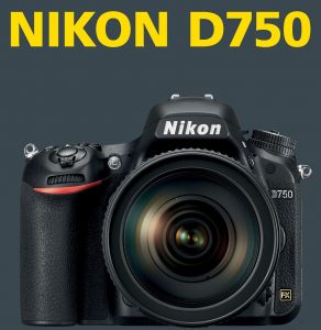 Best Lenses for Nikon D750