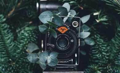 Photography Business